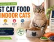 Best Cat Food for Indoor Cats Complete Buying Guide