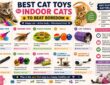 Best Cat Toys for Indoor Cats to Beat Boredom