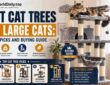 Best Cat Trees for Large Cats: Top Picks and Buying Guide