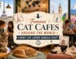Famous Cat Cafes Around the World Every Cat Lover Should Visit