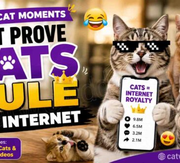 Top Viral Cat Breeds Taking Over Social Media in 2026