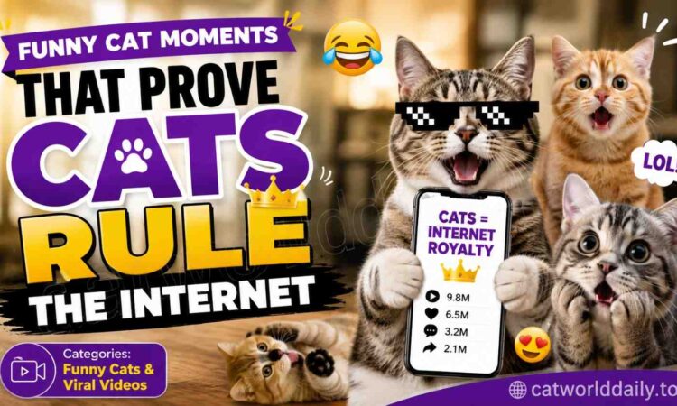 Top Viral Cat Breeds Taking Over Social Media in 2026
