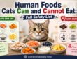 Human Foods Cats Can and Cannot Eat: Full Safety List
