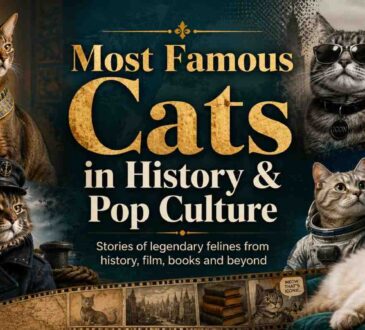 Most Famous Cats in History and Pop Culture
