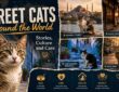 Street Cats Around the World: Stories, Culture and Care