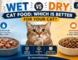 Wet vs Dry Cat Food Which Is Better for Your Cat