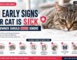 10 Early Signs Your Cat Is Sick Every Owner Should Never Ignore